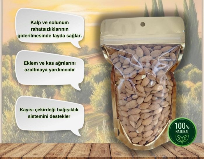 kayısı çekirdeği